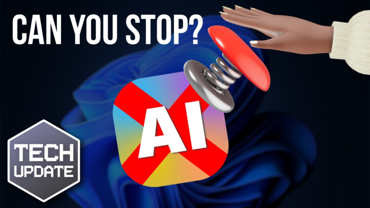 How would you stop AI in an emergency?